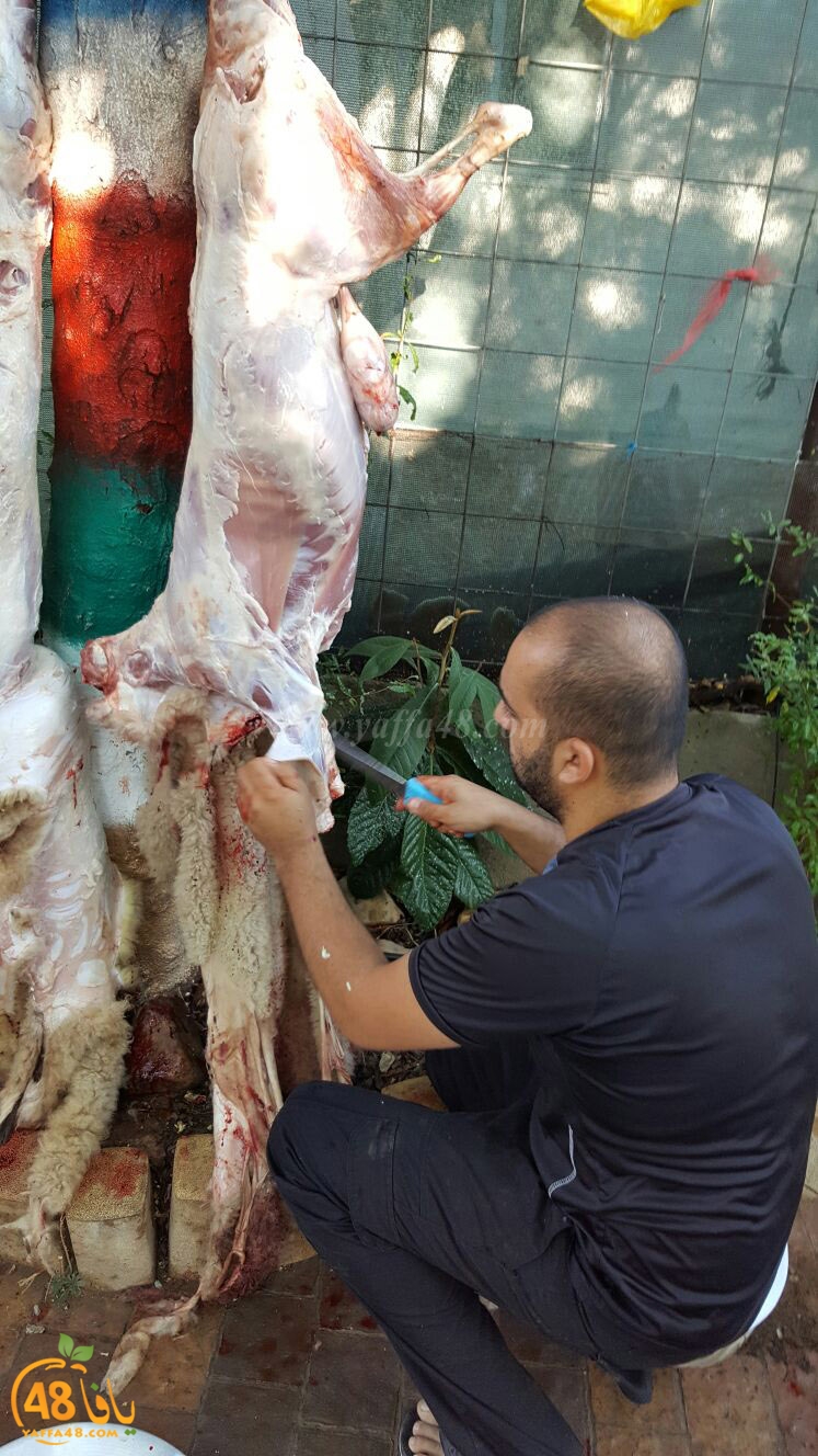 dab7 ada7y wu3ed (23).jpg